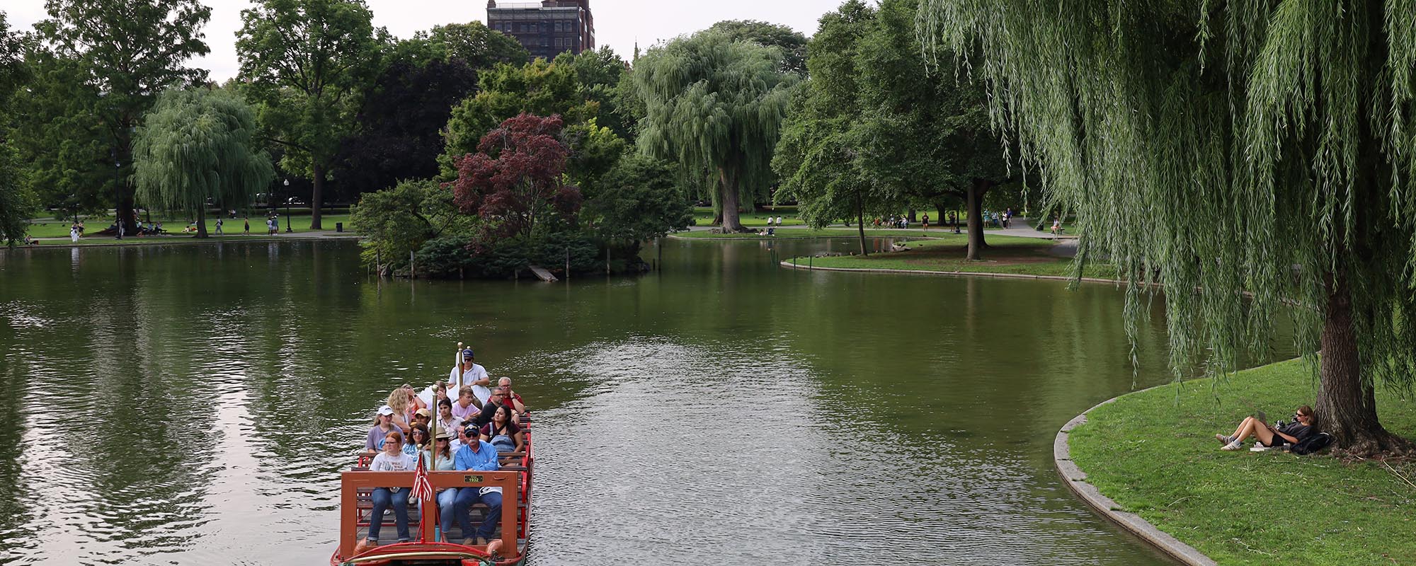 Swan boats in the Public Garden